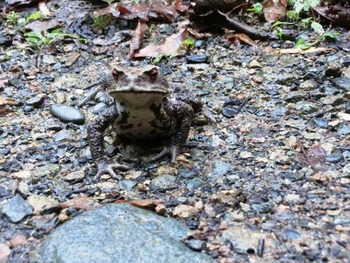 12088479_10153022475945044_8944295909431099528_n