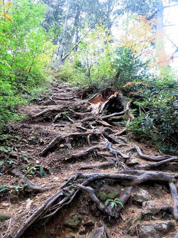 12120166_681121585357740_1113500309972931787_o