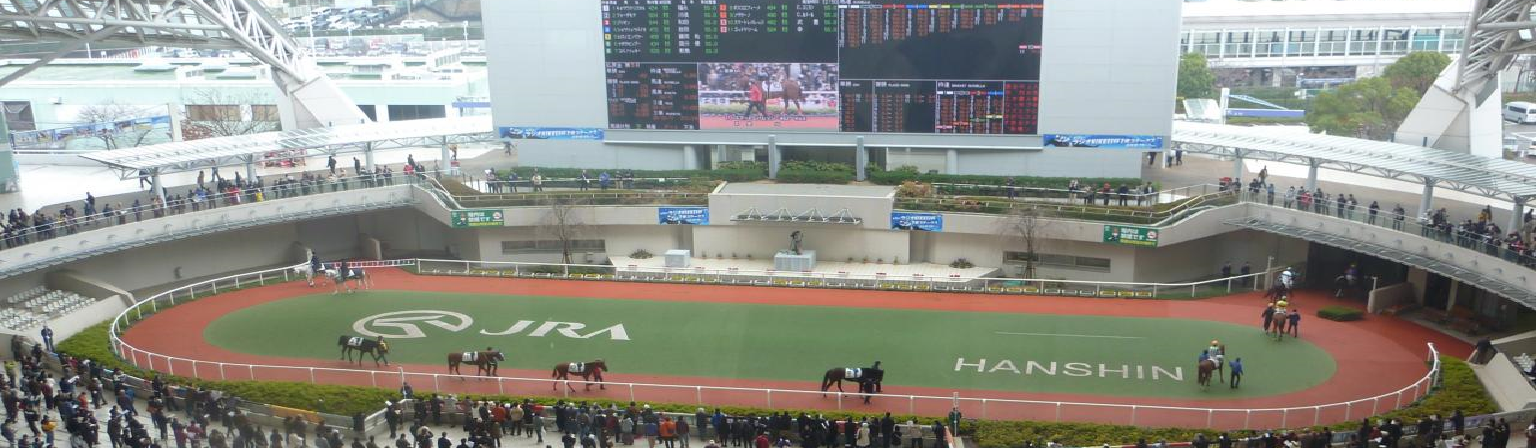 勝率重視馬券 イメージ画像