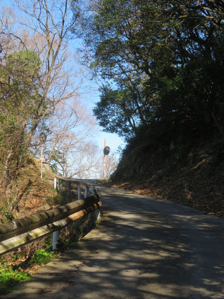 海賊太郎のえひめ東予の歩き方 : 道すがらの魚島島四国②(愛媛県上島町)