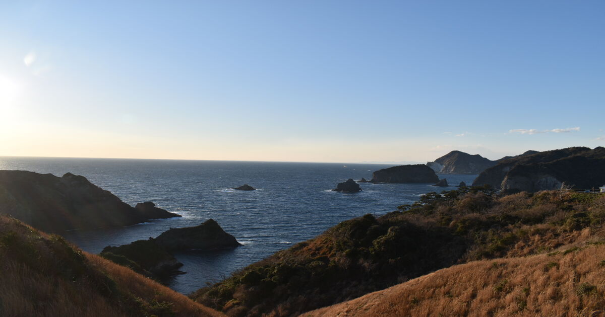つかれたー となりの芝生は青い。