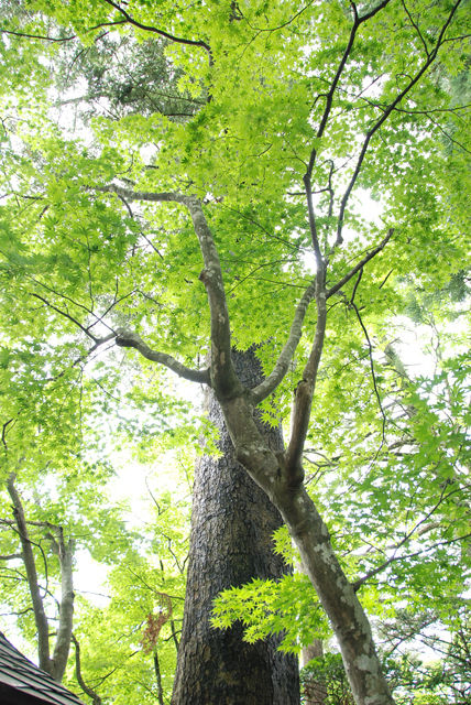 友達の結婚式in秋田 観光 : UME研究日誌