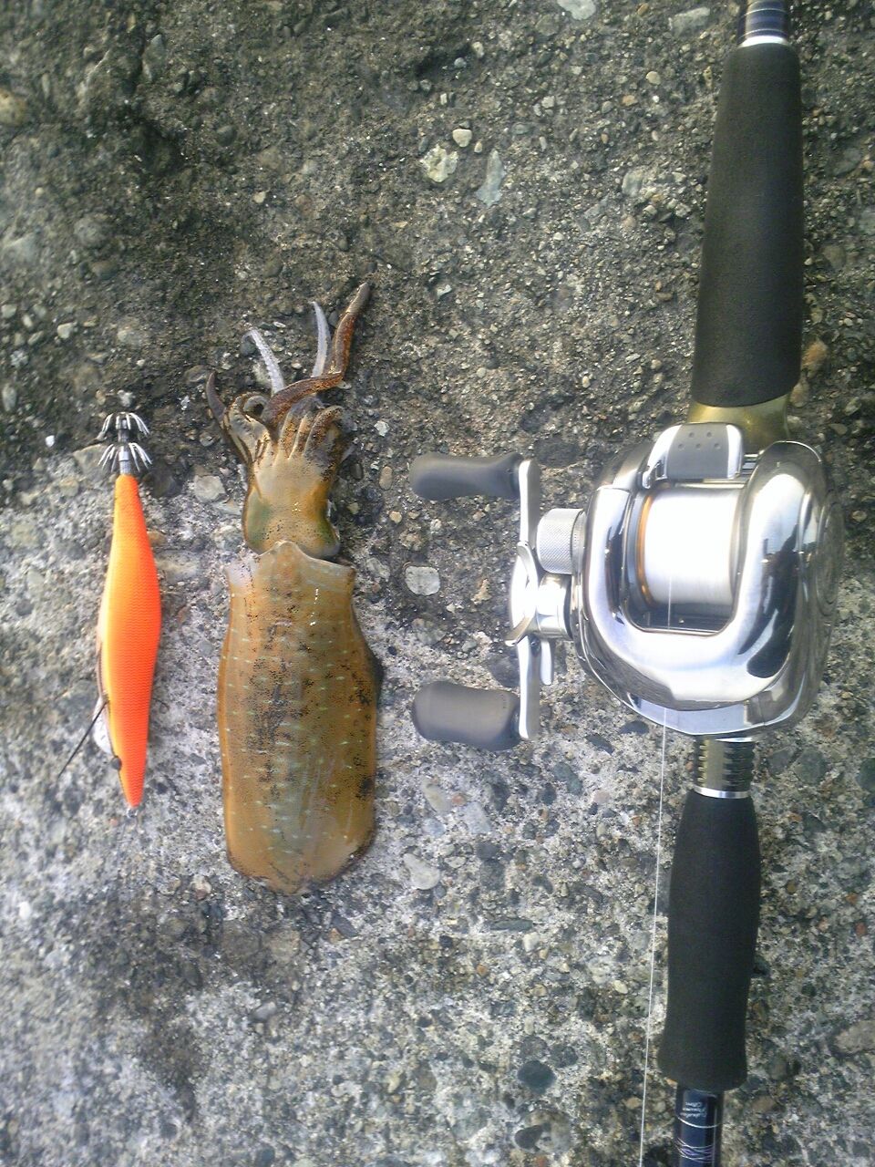 インプレ】対シーバス ベイトロッド ① : 『一日一寸』