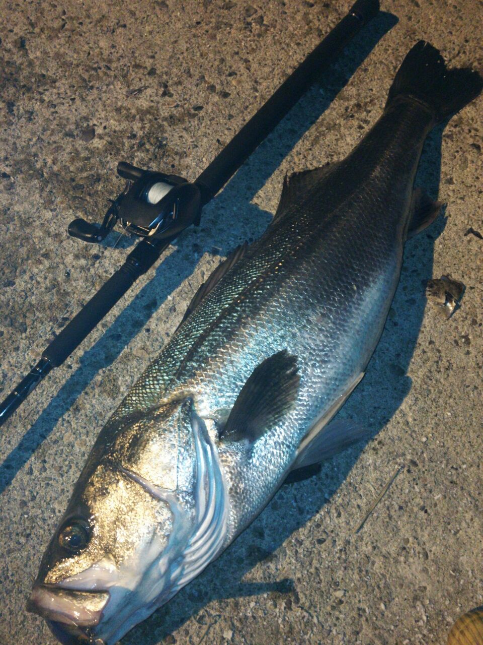 G-CRAFT SEVEN-SENSE MB-1102-MR Bait