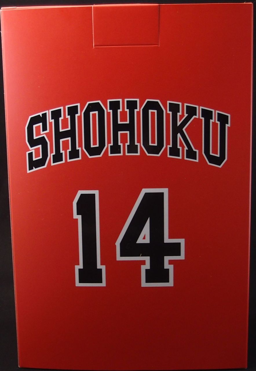 スラムダンク The spirit collection of Inoue Takehiko Vol.5 三井寿