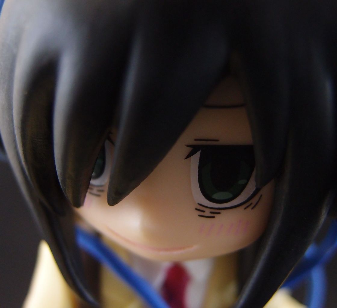 私がモテないのはどう考えてもお前らが悪い 黒木智子 おもにワンピースフィギュアが増えていく アクリル台座派 私がモテないのはどう考えてもお前らが悪い 黒木智子 おもにワンピースフィギュアが増えていく アクリル台座派