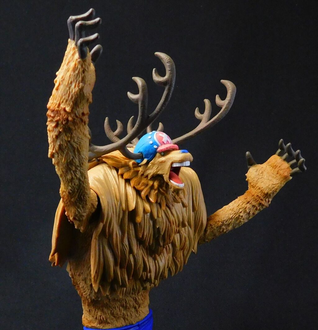 ワンピースチョパー悪魔の実の暴走 ワンピースチョパー悪魔の実の暴走