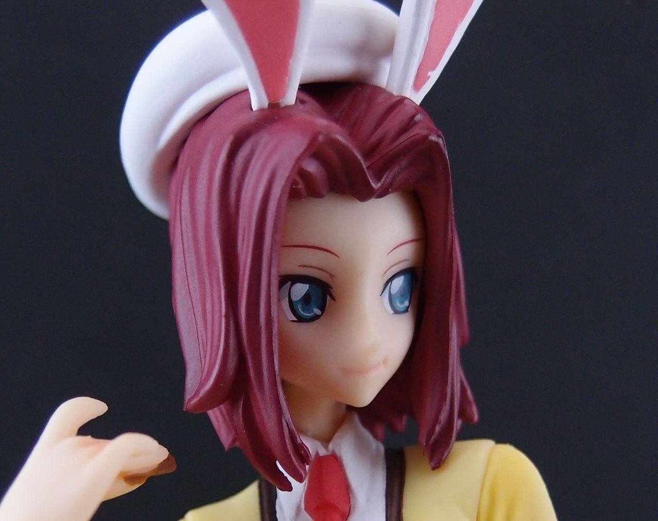 コードギアス反逆のルルーシュ Dx In Wonderland Vol 1 カレン おもにワンピースフィギュアが増えていく アクリル台座派 コードギアス反逆のルルーシュ Dx In Wonderland Vol 1 カレン おもにワンピースフィギュアが増えていく アクリル台座派