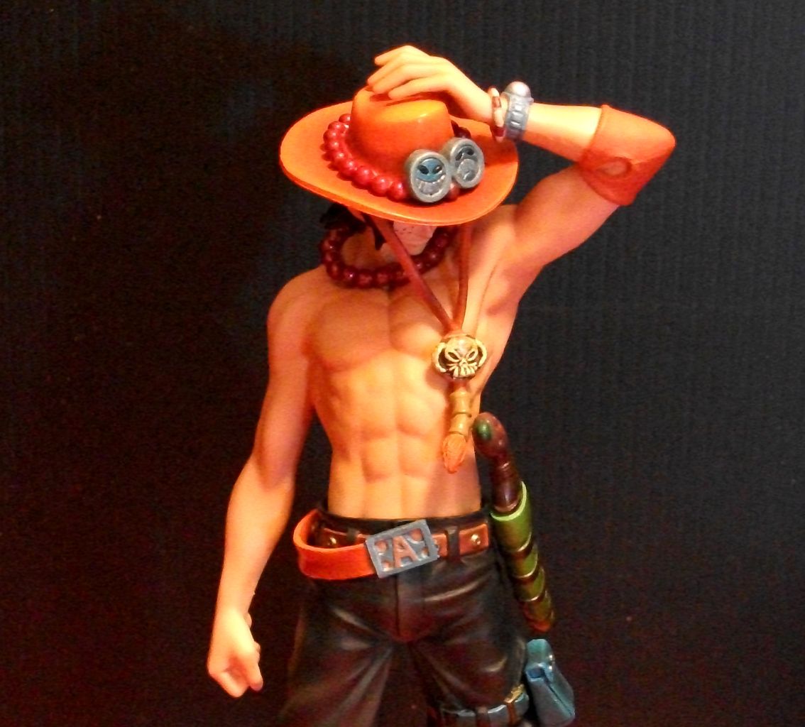 DXF The grandline men Vol.1 エース : フィギュアが増えていく 