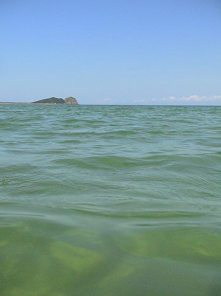 海