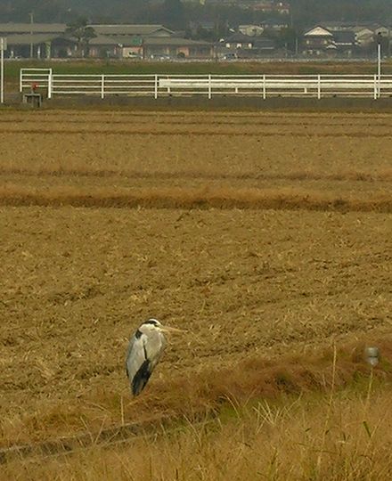 鞍手町