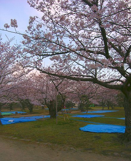 舞鶴公園