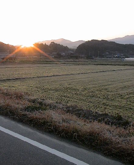 霜