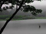 池