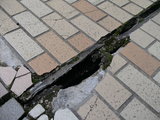 544960b6.JPG