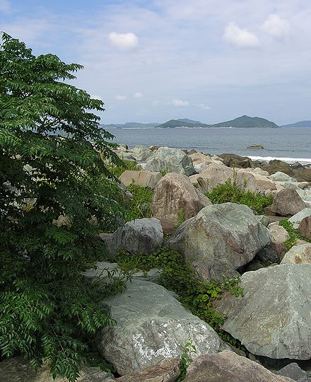 海岸