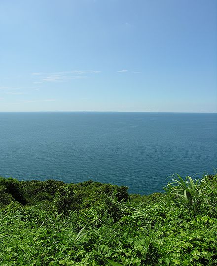 海