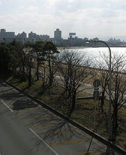 枯木