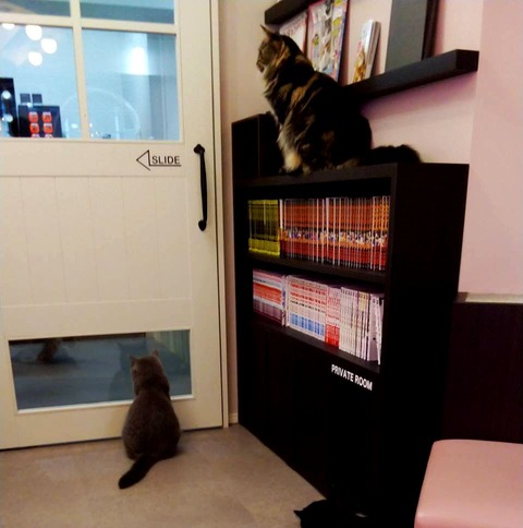 LINE_P20190716_11382647