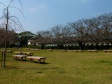 福岡城