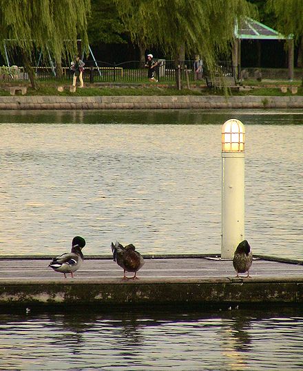 大濠公園