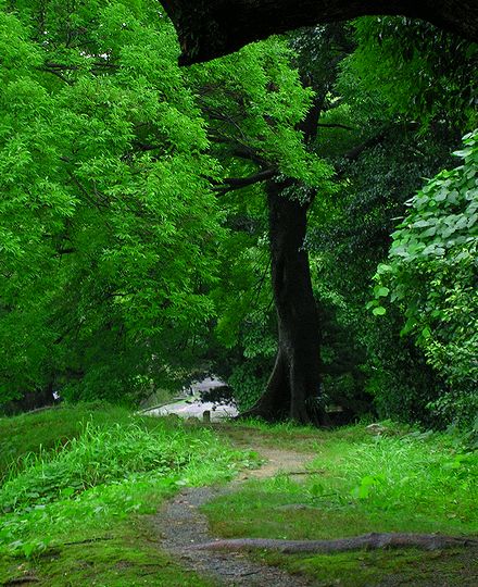 散歩道