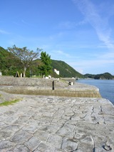 ŷ15