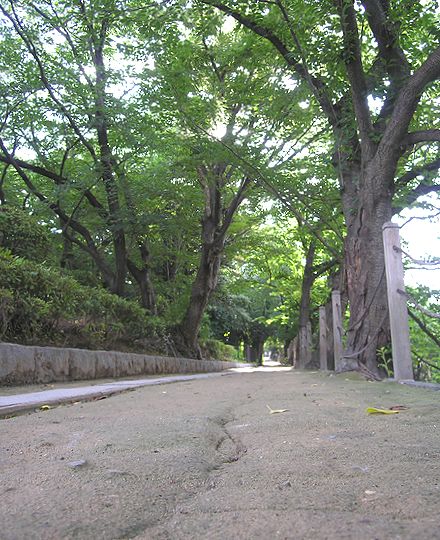 赤坂ふれあい道