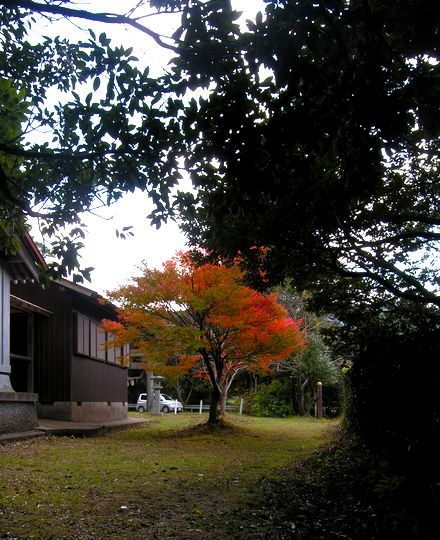 紅葉