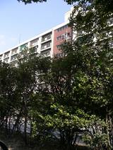 ����Ը���