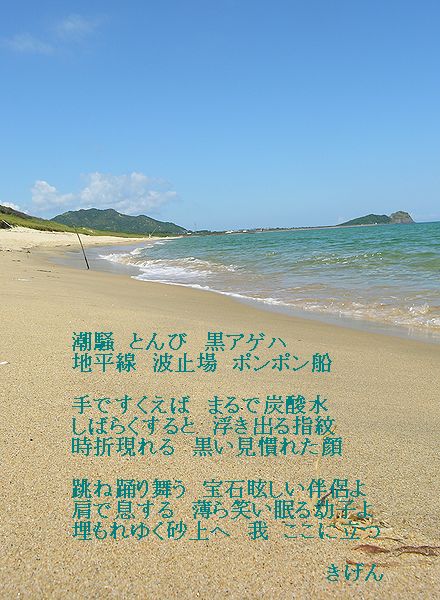 夏海