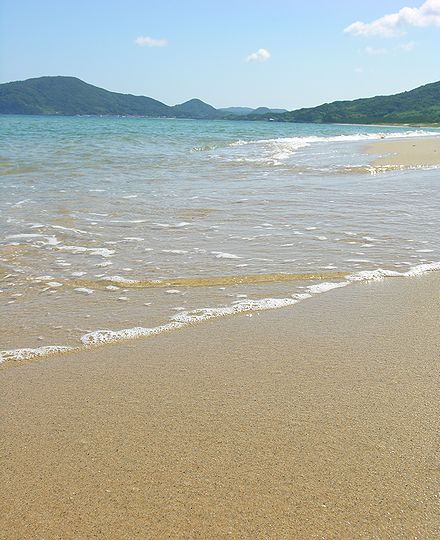 海