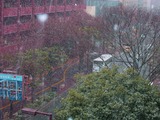 明治通り