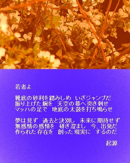 若者