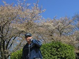 花見