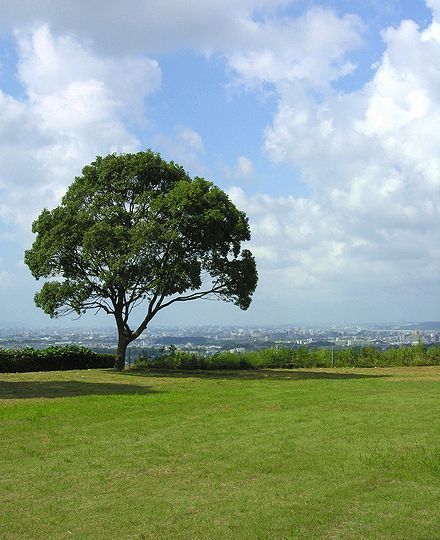 太宰府