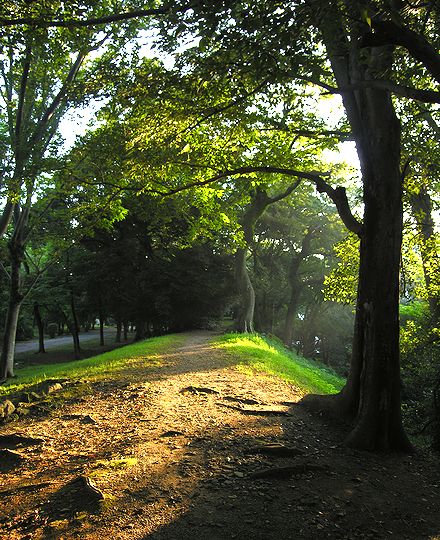 散歩道