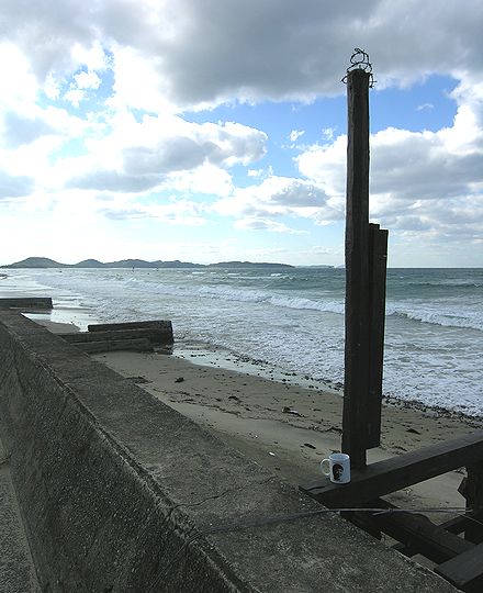 海