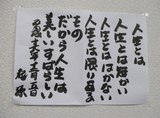 f713fa6d.JPG