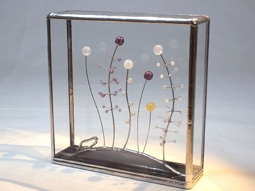 細胞性粘菌box Umezawa Craft