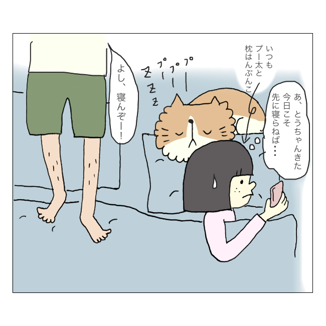 日々鍛錬 うめ子日記 猫のこととか 日々鍛錬 うめ子日記 猫のこととか