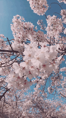 みちこ 画像