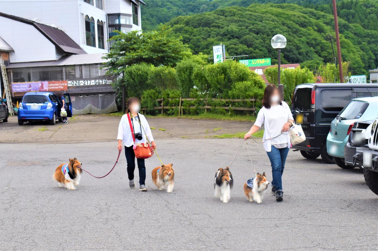 野尻湖 黒姫高原 メロディ ミニーの写真館 野尻湖 黒姫高原 メロディ ミニーの写真館