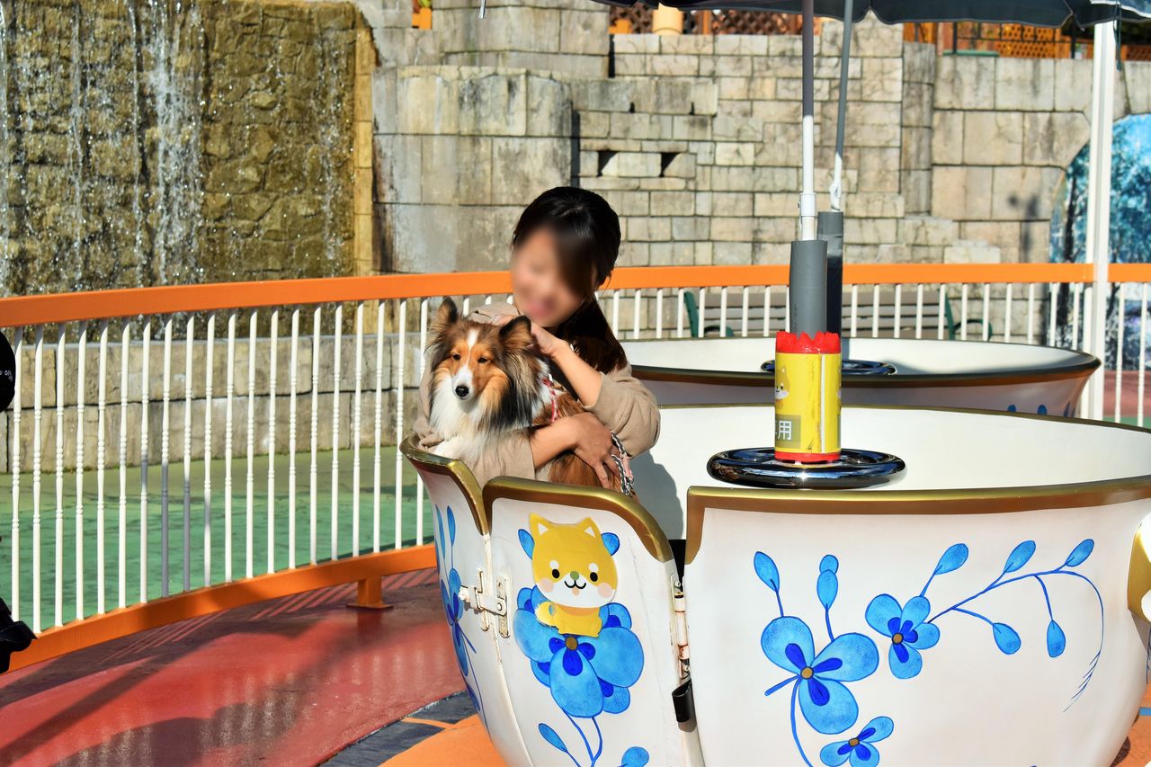 那須ハイランドパーク モデル犬撮影旅行 メロディ ミニーの写真館