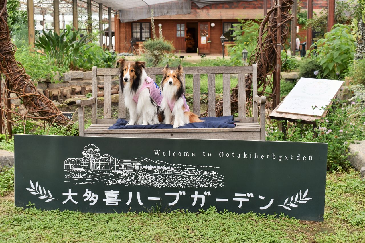 レジーナリゾート鴨川 メロディ ミニーの写真館 レジーナリゾート鴨川 メロディ ミニーの写真館