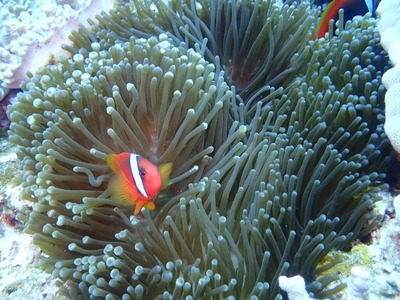 ブログ用_200303_0229