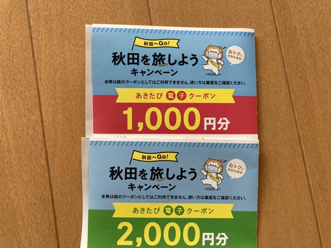 【旅行・節約】秋田県の地域共通クーポンを田沢湖駅近くのツルハドラッグで消化