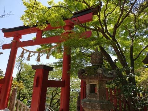 【旅行】GW旅行できずに脳内エア登山：高尾山登山