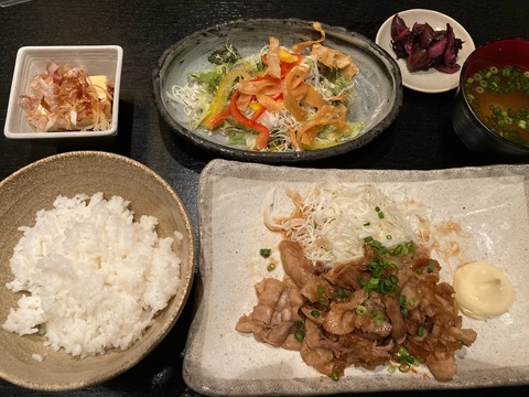 【日常】GoToイートで居酒屋ひとり定食ディナーしてみた