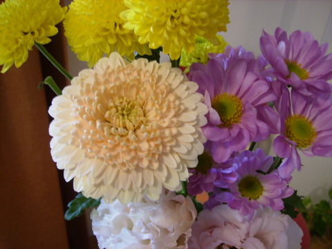 【日常】今月のお花を買いました